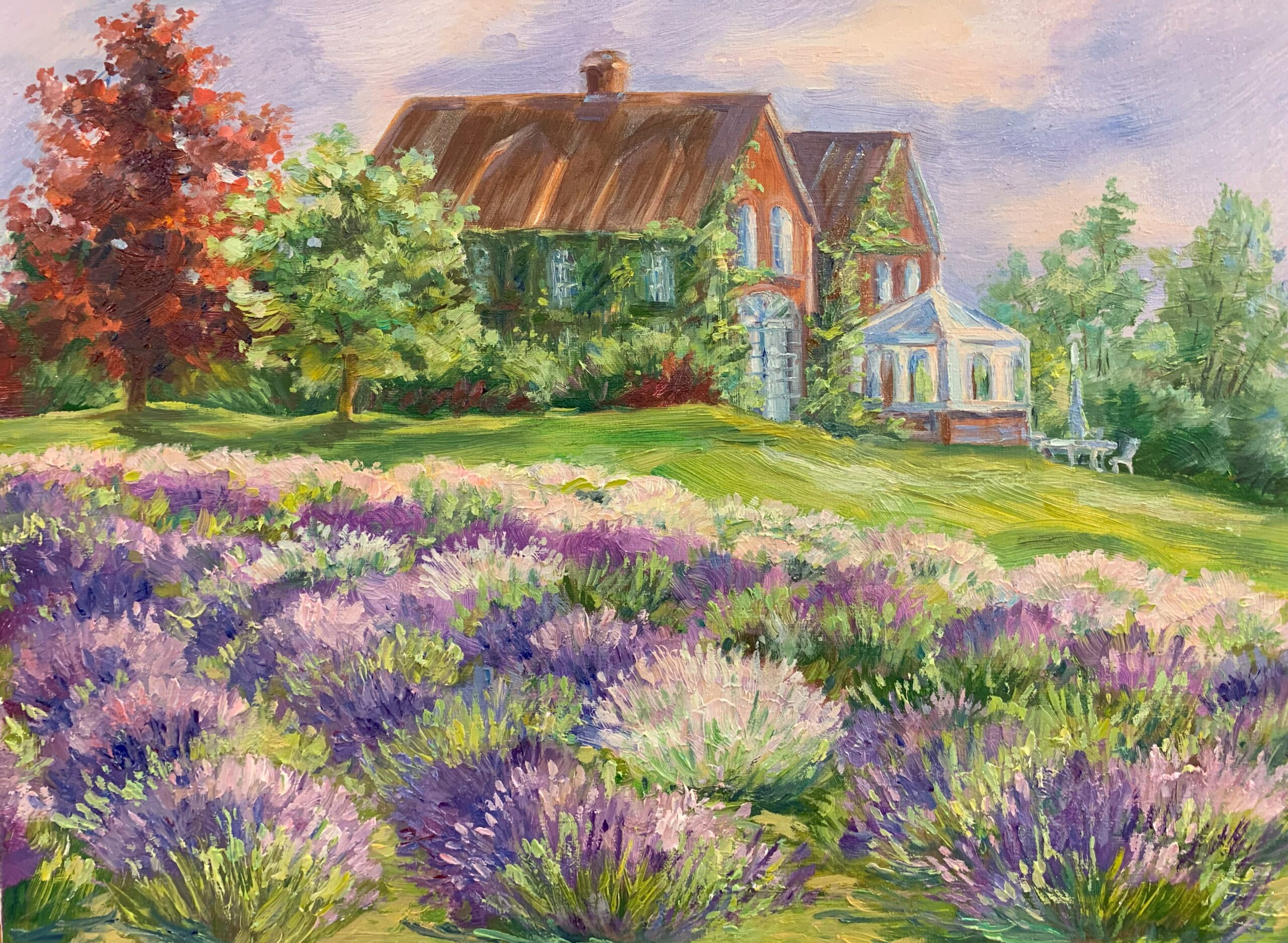 Lavender  Field